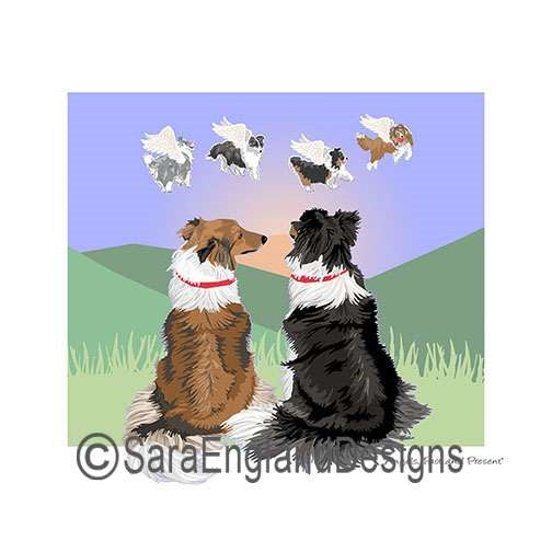Shetland Sheepdog (Sheltie) - Angels Past & Present
