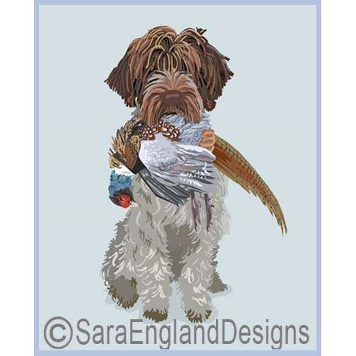 Wirehaired Pointing Griffon - Good Dog Pheasant