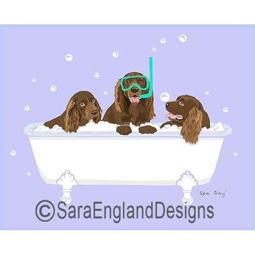 Sussex Spaniel - Spa Day