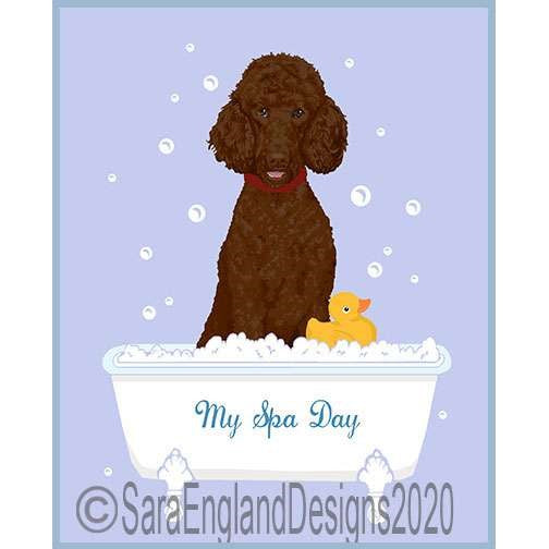 Poodle-Standard - My Spa Day - Three Versions - Chocolate