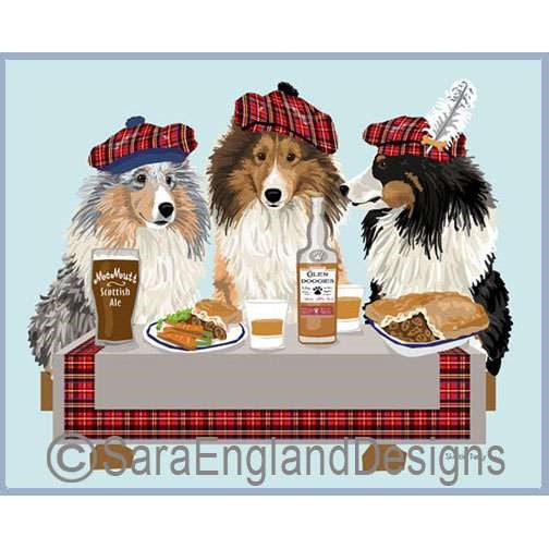 Shetland Sheepdog (Sheltie) - Scottish Party