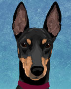 Manchester Terrier