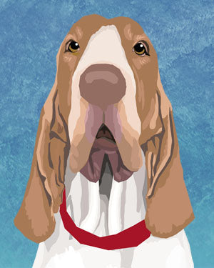 Bracco Italiano