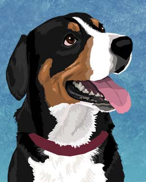 Entlebucher Mountain Dog
