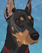 Doberman Pinscher