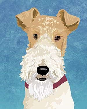 Fox Terrier-Wire