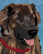 Leonberger