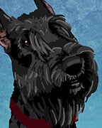 Giant Schnauzer