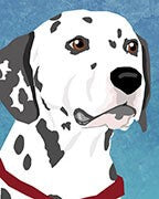 Dalmatian