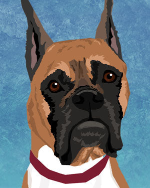 Boxer