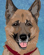 German Shepherd