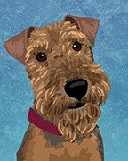 Welsh Terrier