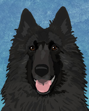 Belgian Sheepdog