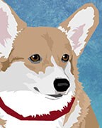 Pembroke Corgi