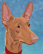 Pharaoh Hound