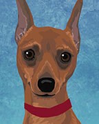 Miniature Pinscher