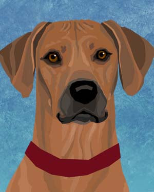 Rhodesian Ridgeback Art | Shop Rhodesian Ridgeback Decor & Gifts - Sara ...