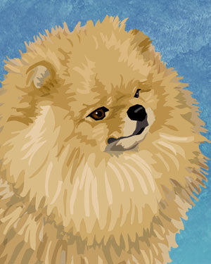 Pomeranian