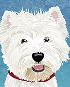 West Highland Terrier (Westie)