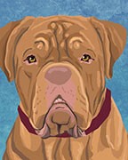 Dogue de Bordeaux