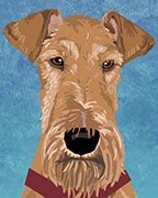 Irish Terrier