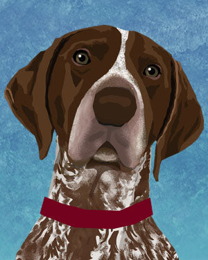 German Shorthaired Pointer