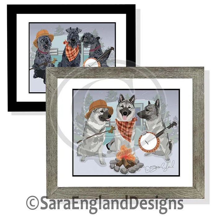 Shih Tzu - Ruffin' It