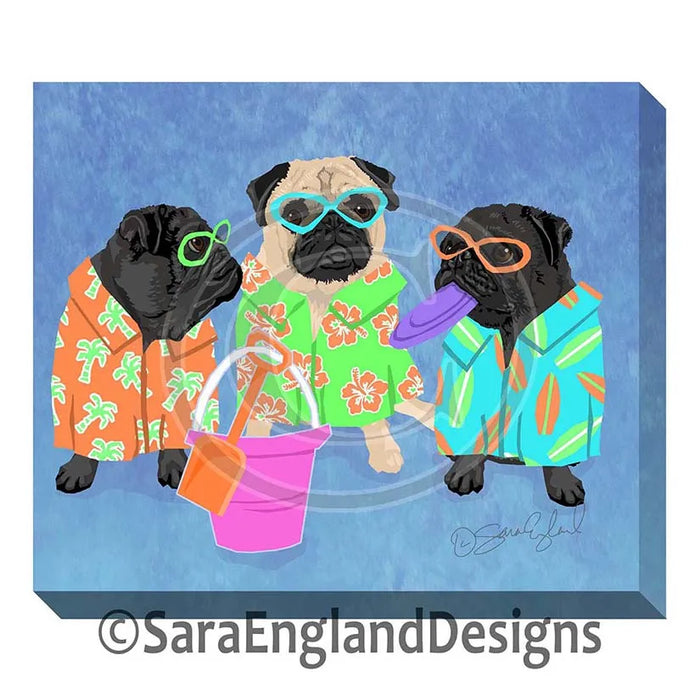 Airedale Terrier - Beach Dogz