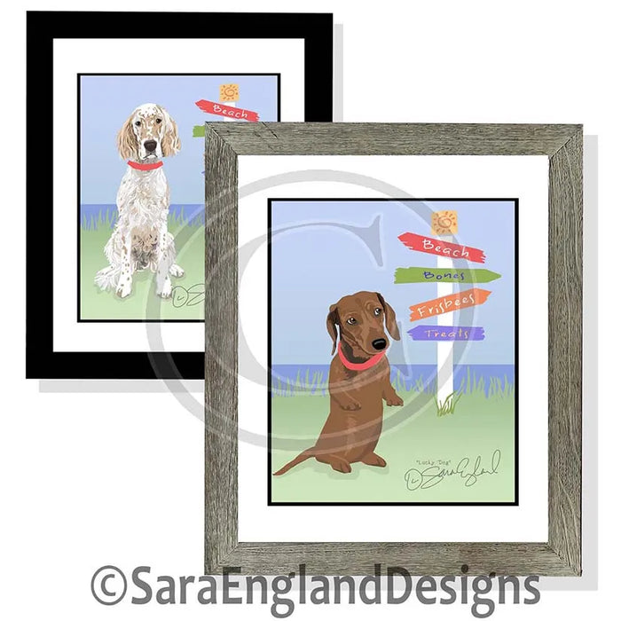 Bearded Collie - Lucky Dog