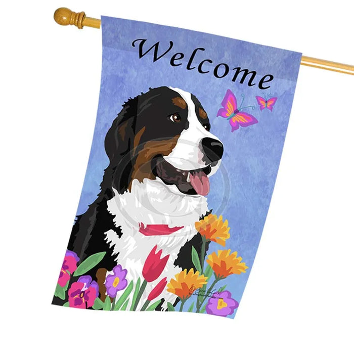 Bernedoodle - Garden