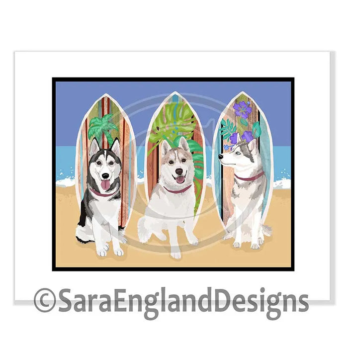 Shetland Sheepdog (Sheltie) - Surf Doggies