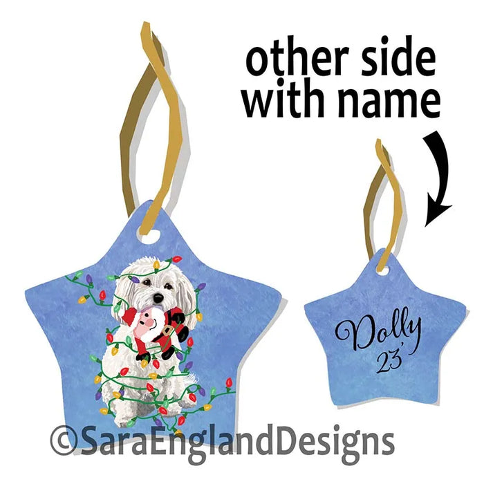 Portuguese Water Dog - Naughty