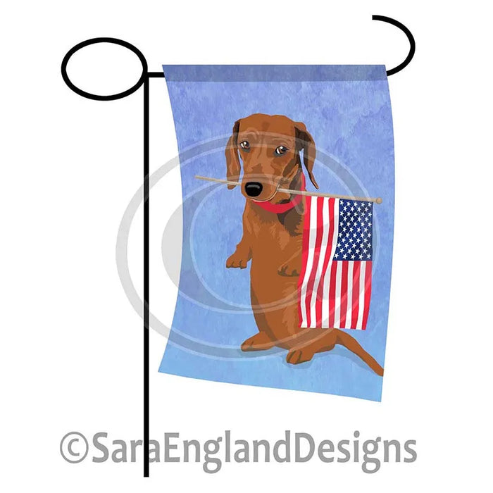 Schnauzer-Standard - Patriot