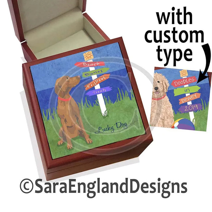 Golden Retriever - Lucky Dog