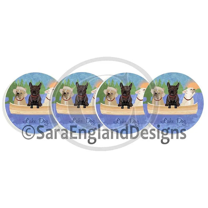 Border Terrier - Lake Dogs