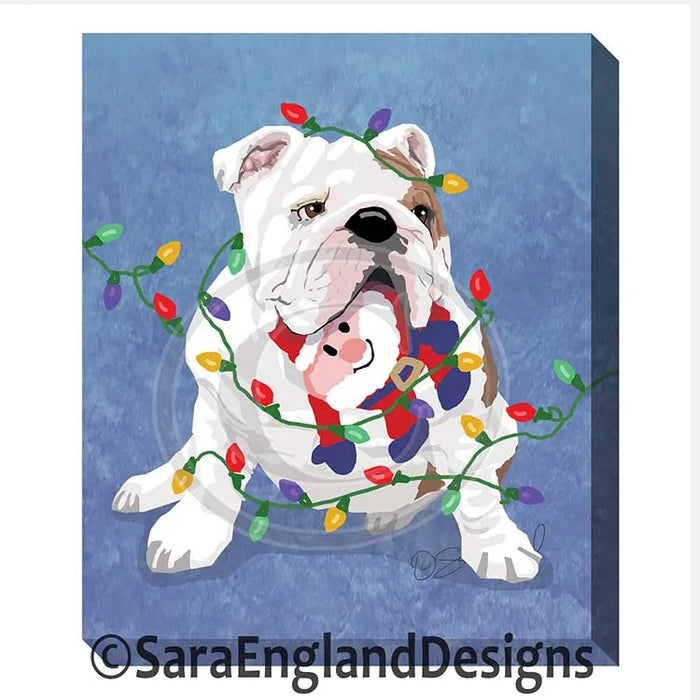 Wirehaired Pointing Griffon - Naughty