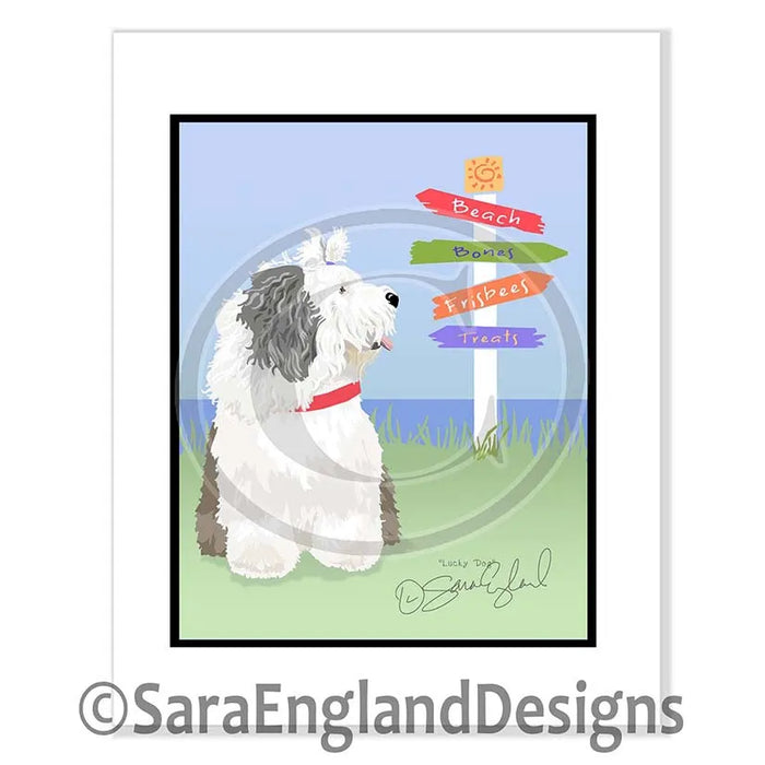 Doodle - Lucky Dog - Ten Versions - Apricot Mini