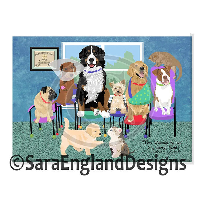 Bernese Mountain Dog - Sit Stay Wait