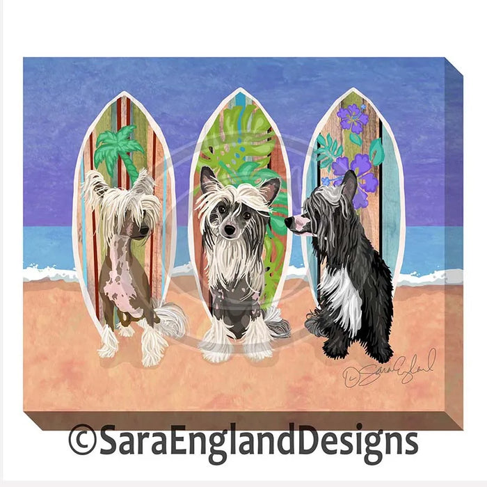 Pit Bull - Surf Doggies