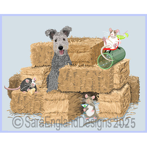 Pumi - Barn Hunt-Grey