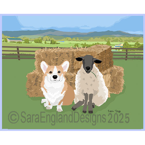 Pembroke Welsh Corgi - Farm Dog