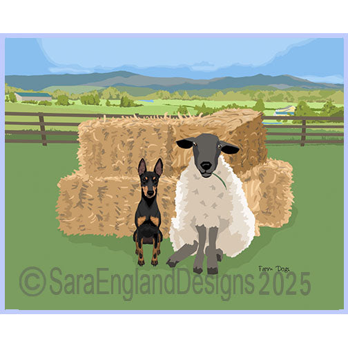 Manchester Terrier - Farm Dog
