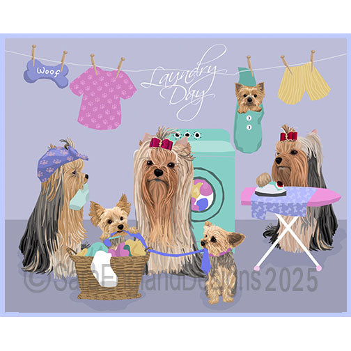 Yorkshire Terrier (Yorkie) - Laundry Day-Show