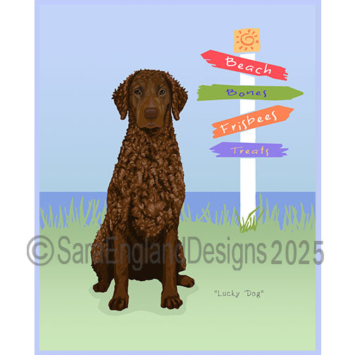 Curly Coated Retriever - Lucky Dog-Liver