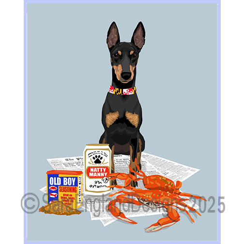 Manchester Terrier - Natty Dog