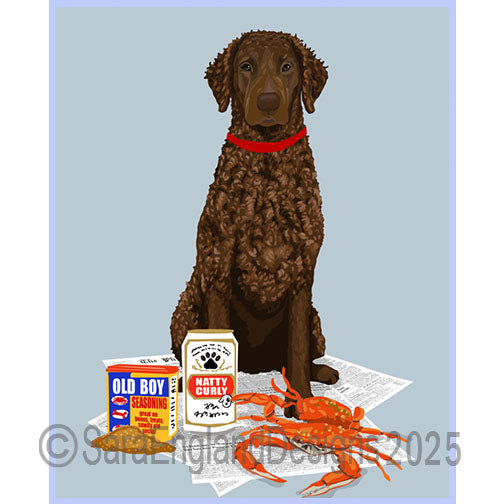 Curly Coated Retriever - Natty Dog-Liver