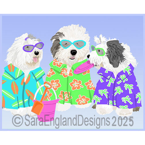Old English Sheepdog - Beach Dogz