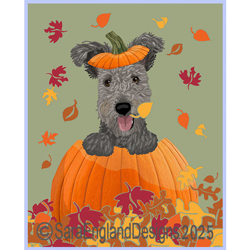 Pumi - Pumpkin-Grey