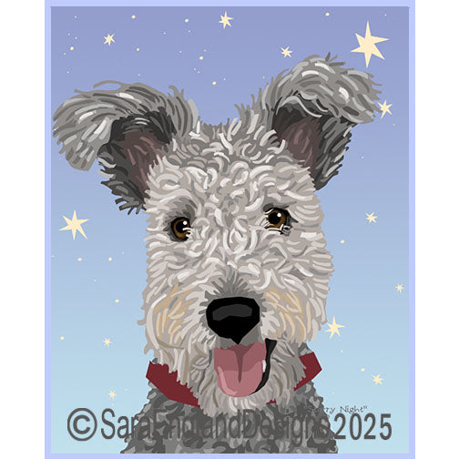 Pumi - Starry Night-Grey