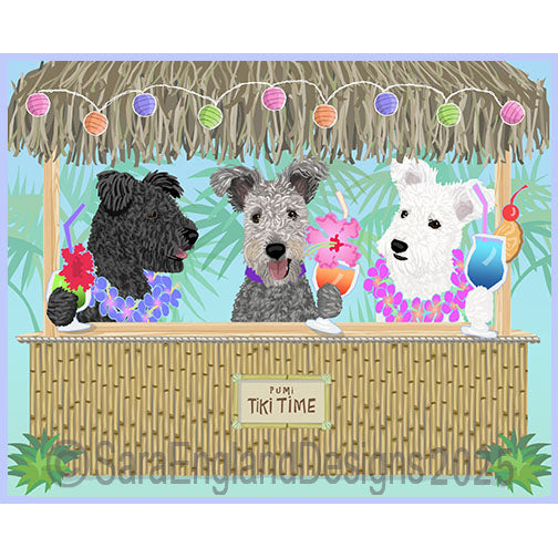 Pumi - Tiki Time